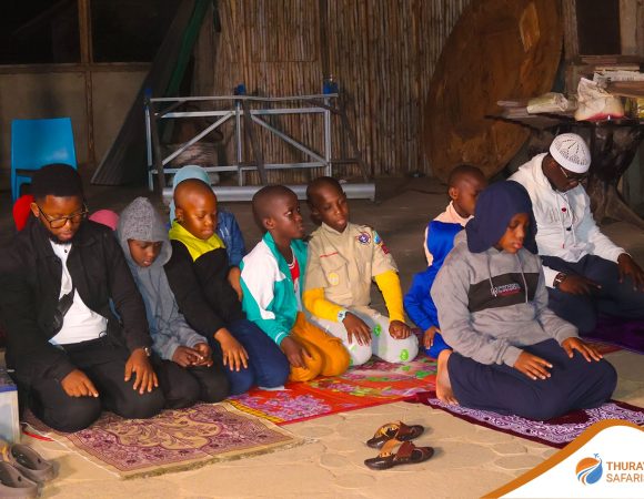 Curriculum Enrichment Trip – School Educational Tours