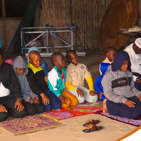 Curriculum Enrichment Trip – School Educational Tours