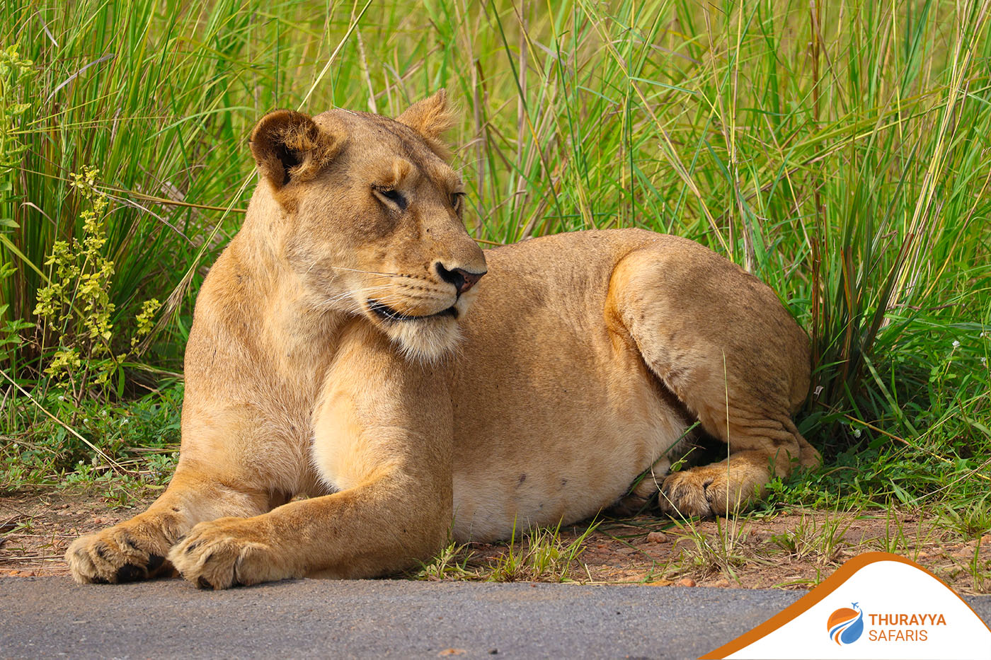 Queen Elizabeth National Park